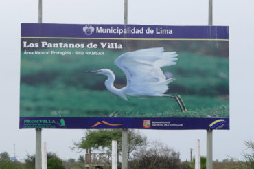 Los Pantanos de Villa – Lima