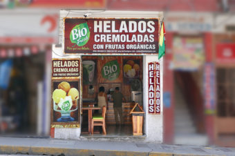 BIO FRESH – Gelateria – Chanchamayo