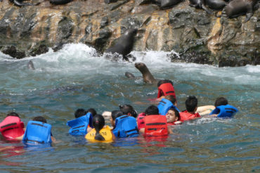 Tour Marino Callao en Isla Palomino