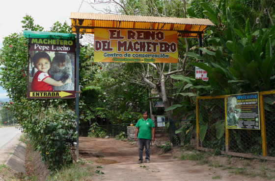 El Reino del Machetero – Pepe Lucho