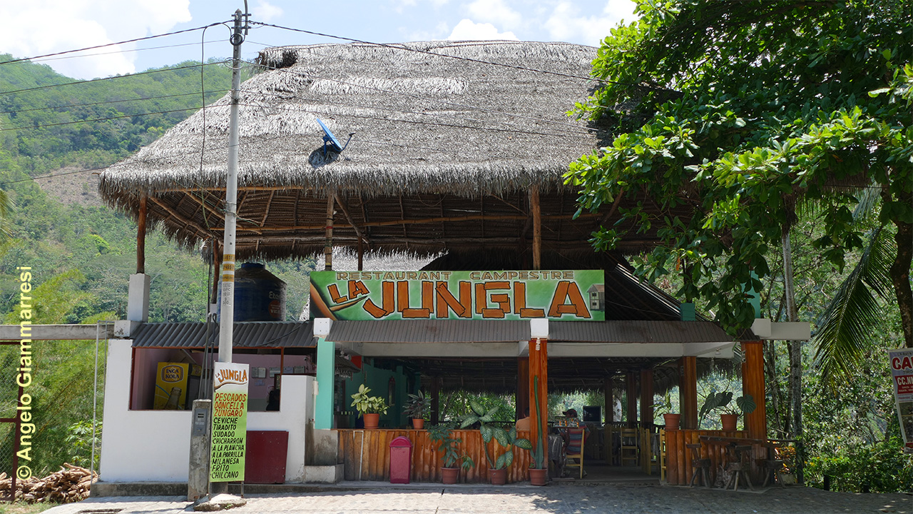 Restaurant La Jungla