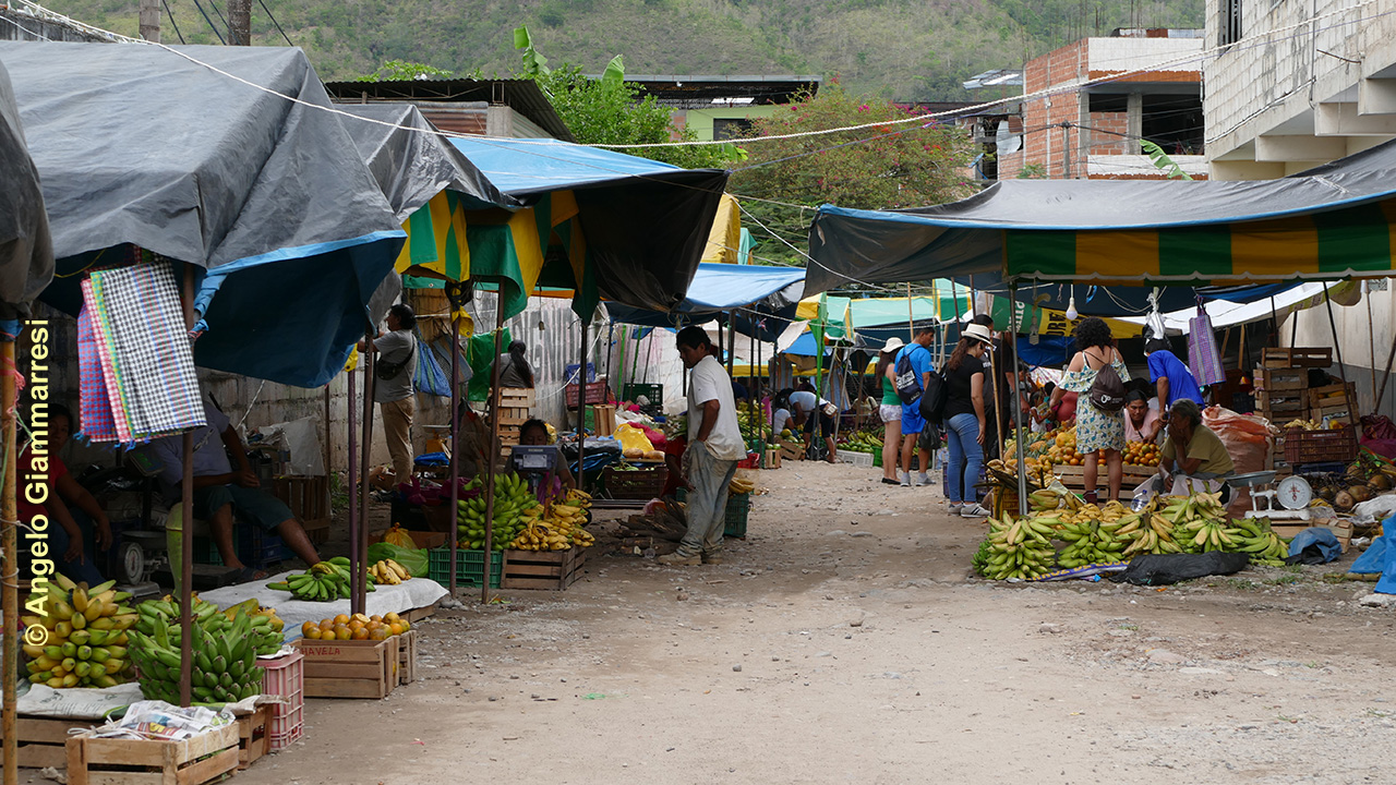 Fruit Market